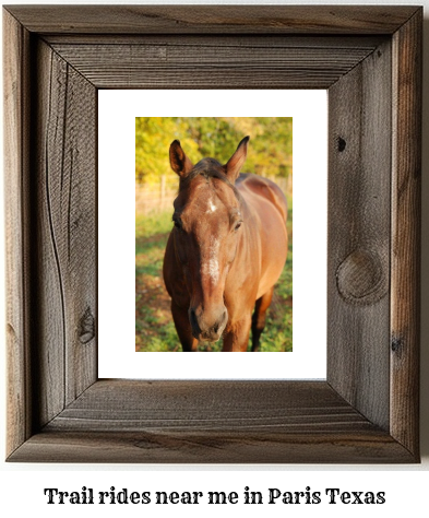 trail rides near me in Paris, Texas